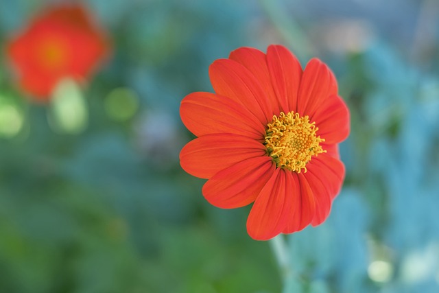 成为竞争的 成为竞争的