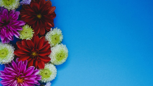 可持续发展 可持续发展