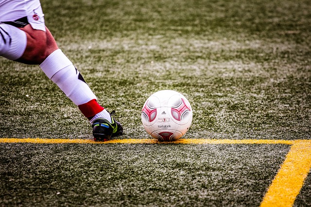 都成为球迷 都成为球迷