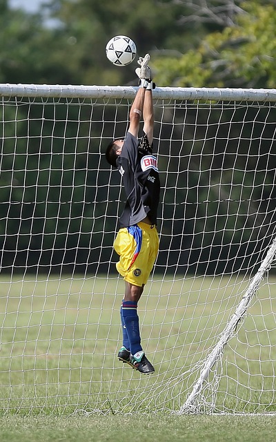 可以看到 可以看到