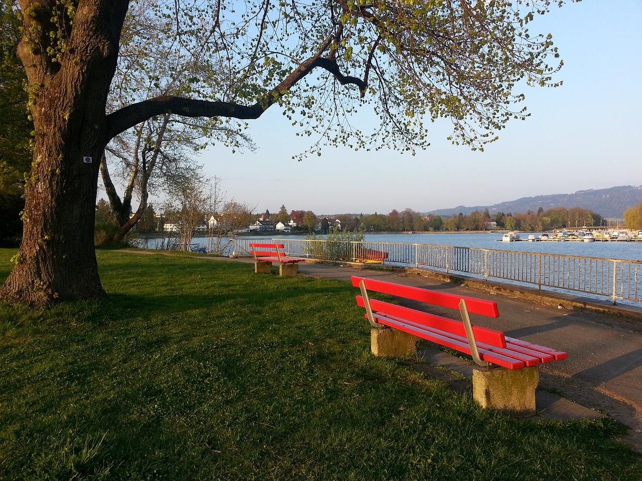 在今年的採 在今年的採