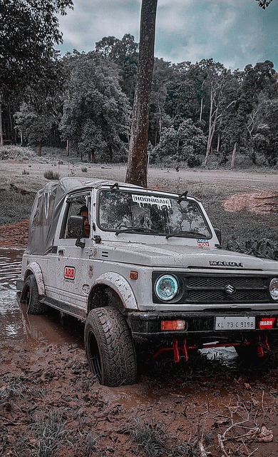 综上所述 综上所述