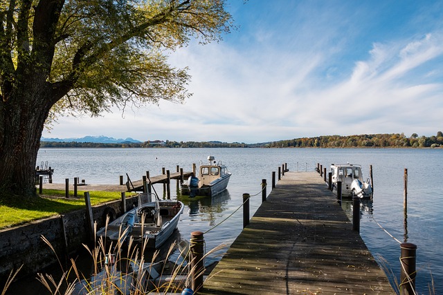 对于这支雄 对于这支雄