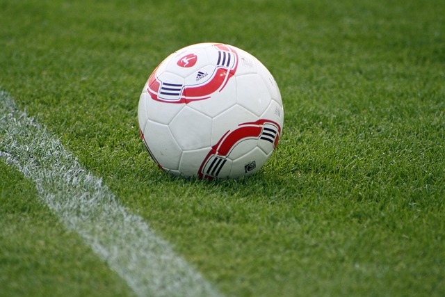 发期也遭遇 发期也遭遇